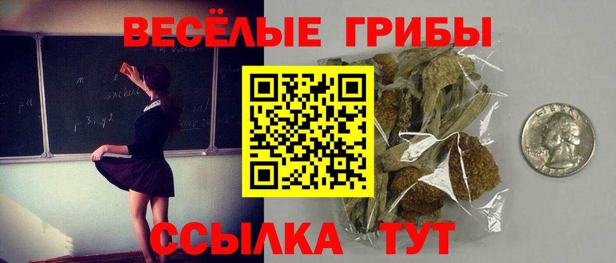 Галлюциногенные грибы Psilocybe  закладки  Мирный  Вход с VPN 